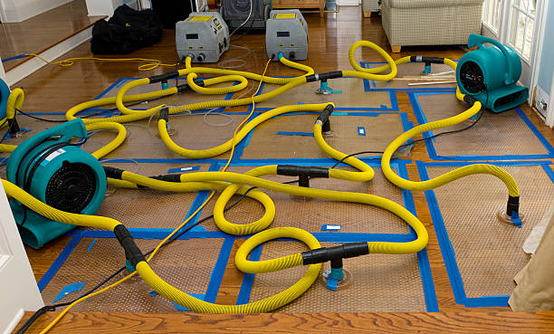 Professional Water Damage Repair technician working in Wales, MA